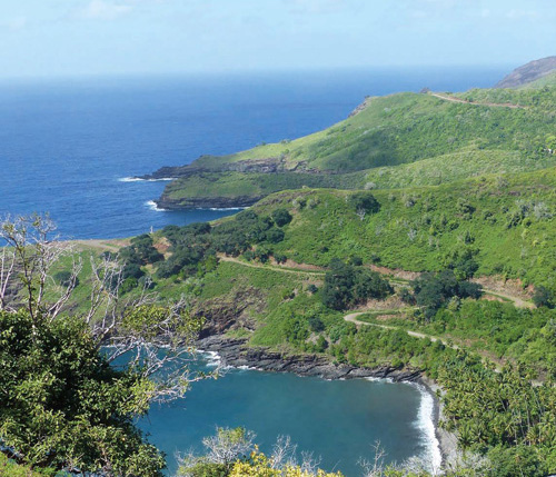 Bilan-2019-2020_Polynesie.jpg