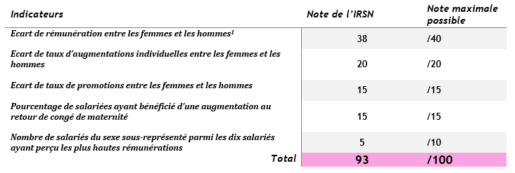 index-egalite-femmes-hommes-indicateurs-2021.png