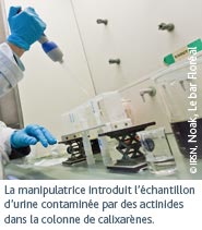 La manipulatrice introduit lchantillon durine contamine par des actinides dans la colonne de calixarnes.