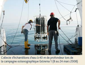 Que deviennent les particules lors d'vnements climatiques extrmes dans le Golfe du Lion ?