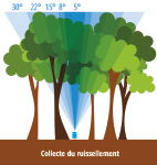 collecte ruissellement