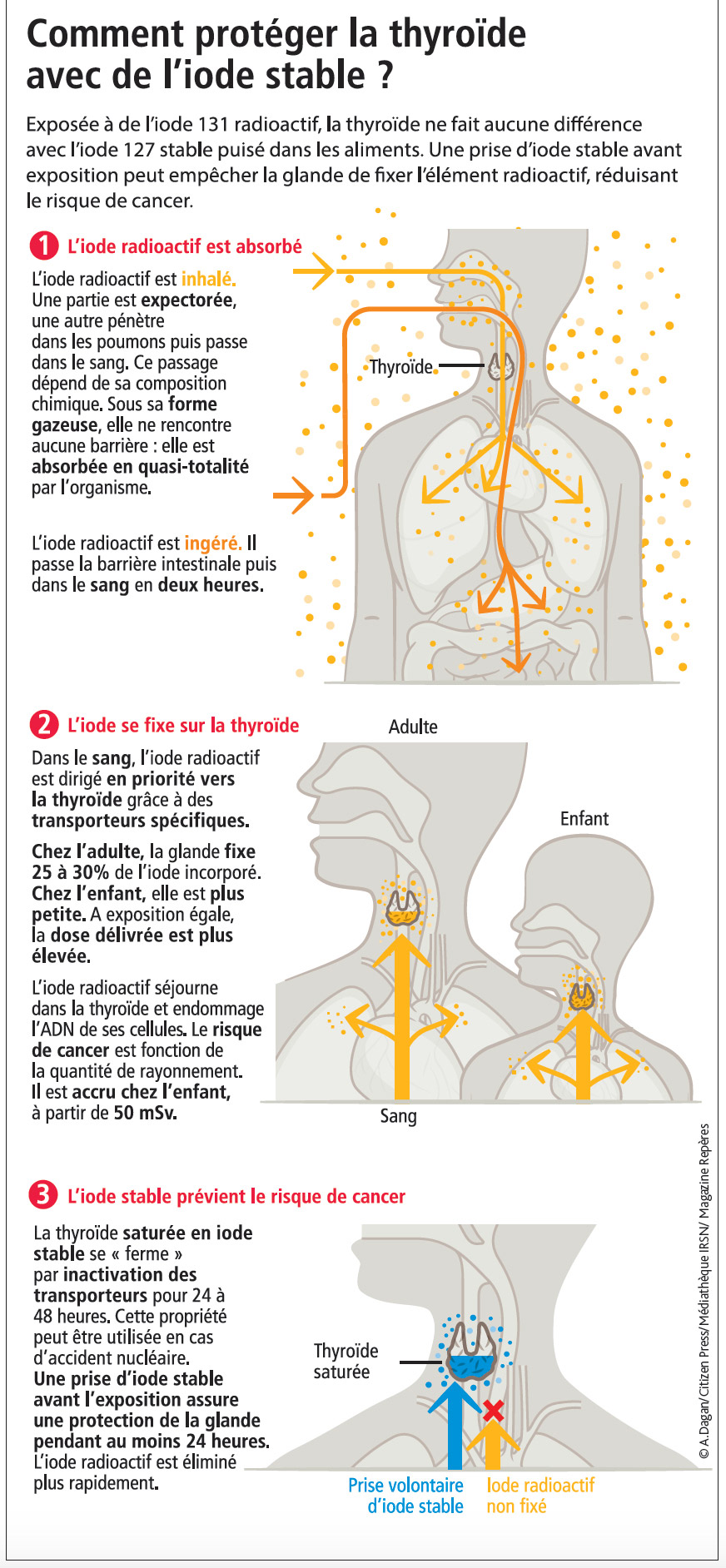 IRSN_SCH-15_Prise-iode-stable.jpg
