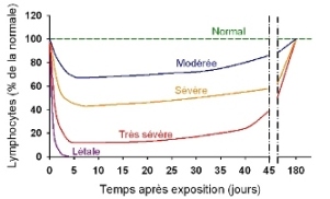 Figure 1 : lymphopénie