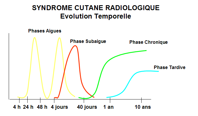 Evolution des lésions sur plusieurs semaines à plusieurs mois.