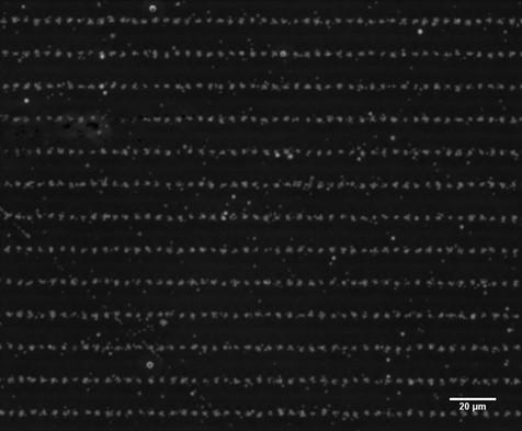 Faisceau de protons de 4 MeV sur détecteur de traces. 10±3 ions par point. Pas : 5x15 µm