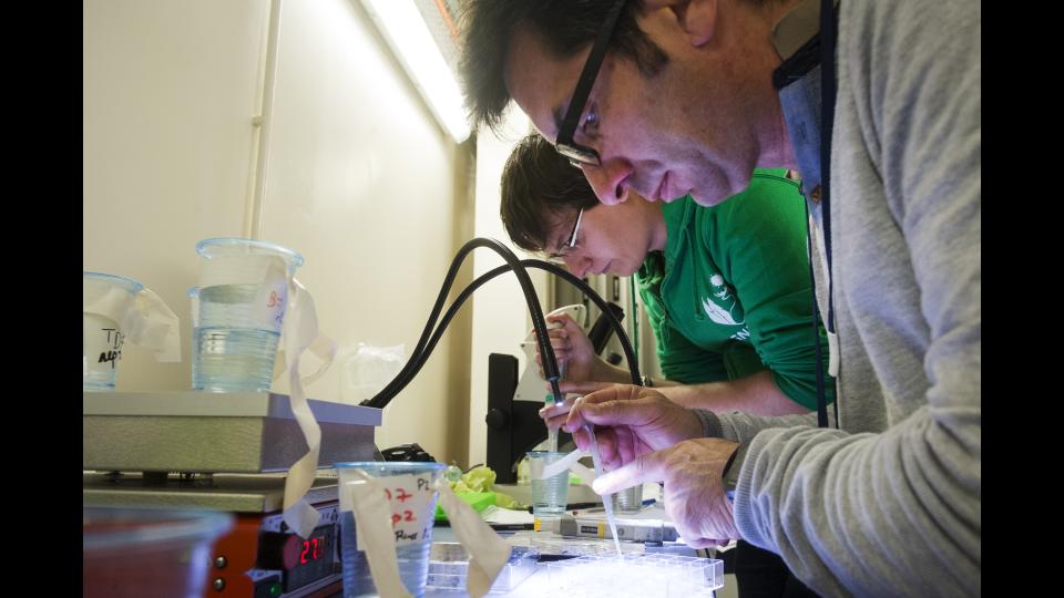  Laboratoire d'écotoxicologie des radionucléides (Leco) de l'IRSN 