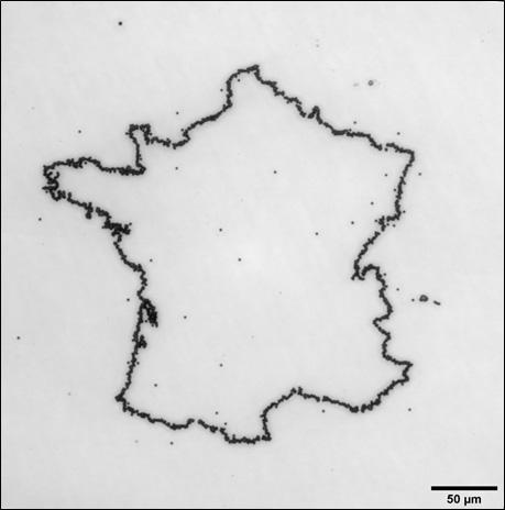 Faisceau de particules alpha de 6 MeV sur détecteur de traces.