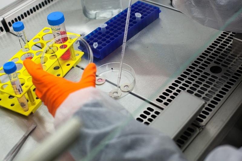 Préparation des cellules qui seront irradiées sur le microfaisceau MIRCOM