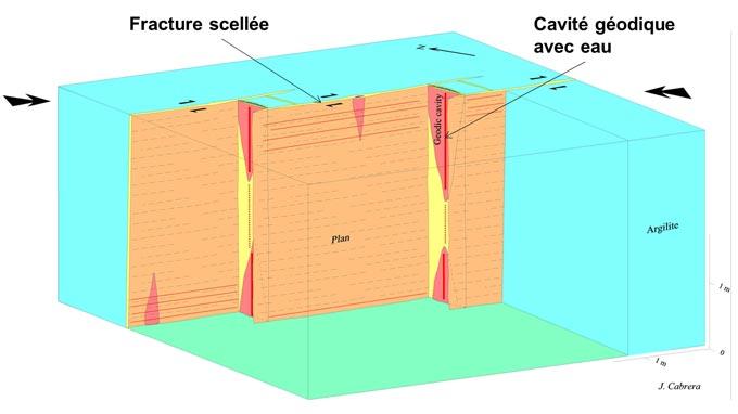 Reseau_fractures_cellees.jpg