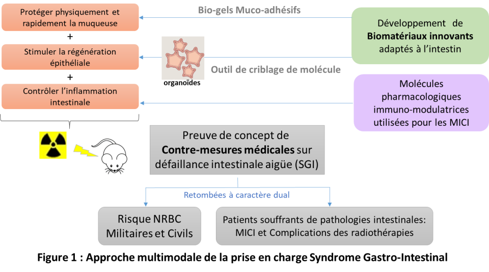 iRSN - Approche multimodale de la prise en charge Syndrome Gastro-Intestinal