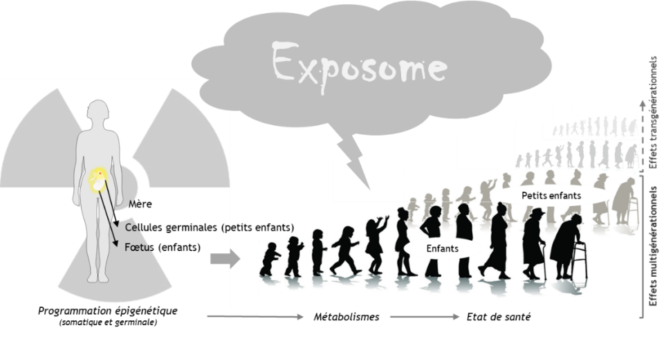 LRTOX2.png