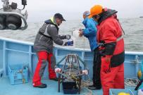 Accident de Fukushima Daiichi: campagne de prélèvement d'eau de mer au Japon