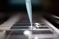 thérapie cellulaire