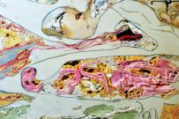 IRSN_BDC-SUR_Dechets-radioactifs-colis-FMA