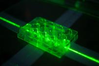 cellules biologiques installées dans l'installation Alphée en vue d'une irradiation