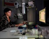 Laboratoire de recherche sur les effets des radionucléides sur les écosystèmes