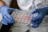 Manipulation en laboratoire en biologie cellulaire