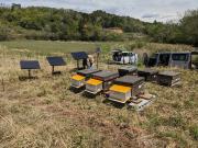 Mise en place des ruches connectées dans la préfecture de Fukushima