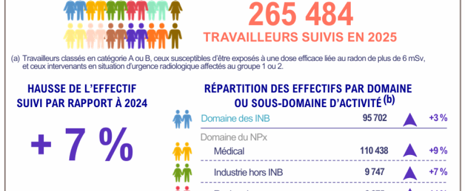 Extrait de l'infographie du rapport travailleurs bilan 2025