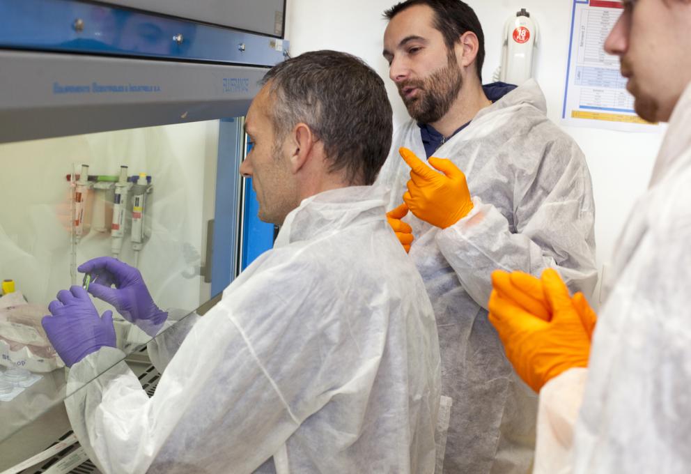 ParisII - Mise en culture de cellules© Francesco Acerbis/IRSN