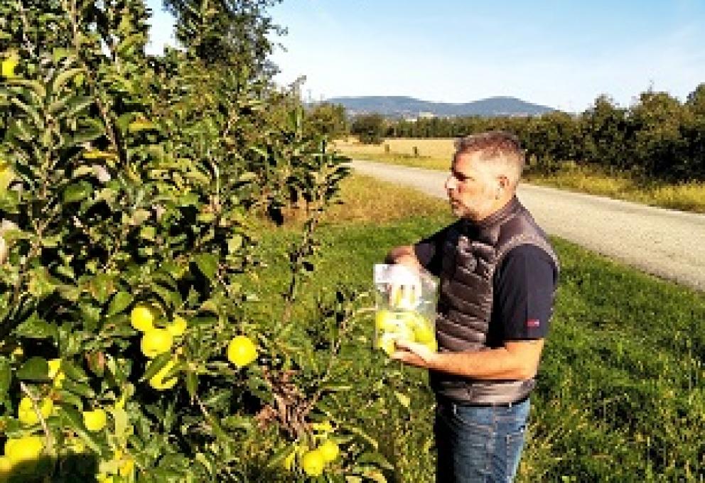 IRSN_Prelevement-Pommes-St-Alban