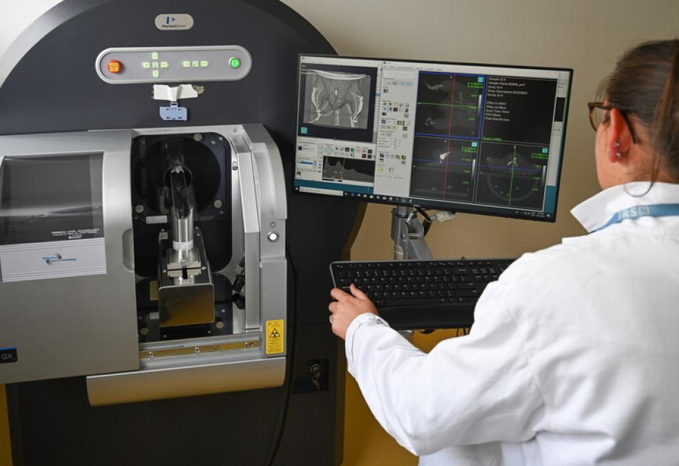 Laboratoire de radiobiologie des expositions accidentelles (LRAcc)