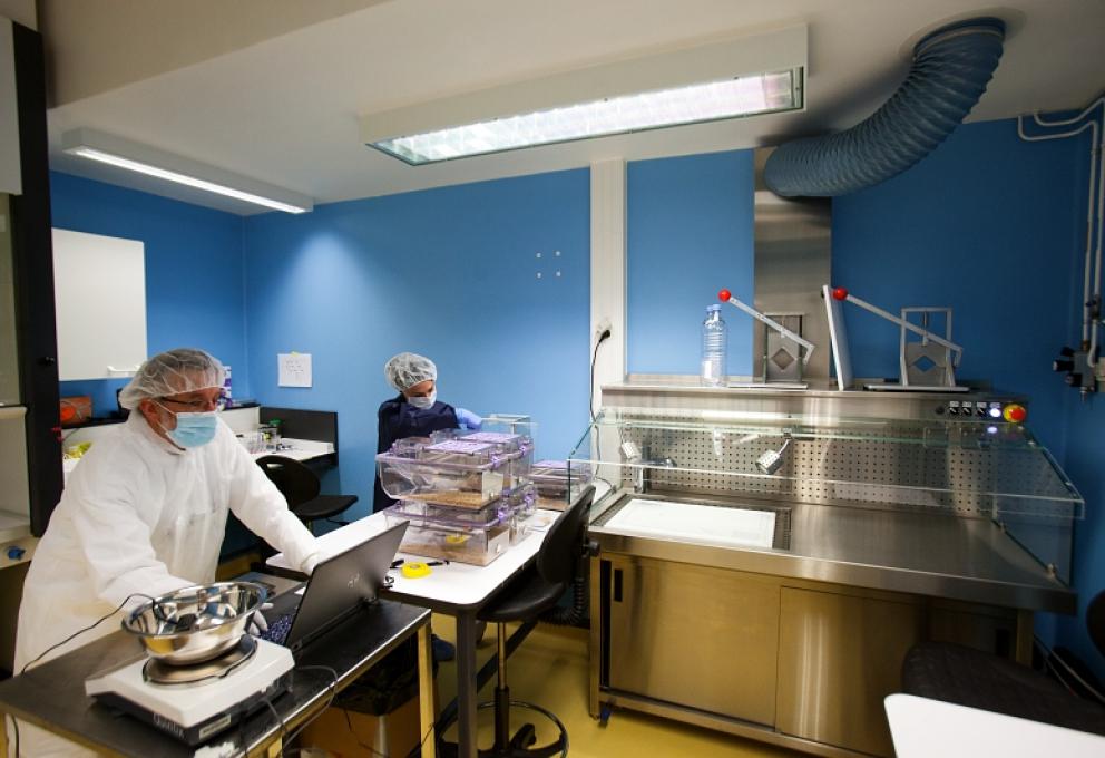 Laboratoire de radiotoxicologie et radiobiologie expérimentale (LRTOX)