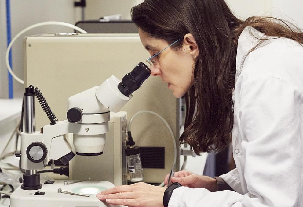 Laboratoire de dosimétrie des rayonnements ionisants (LDRI)