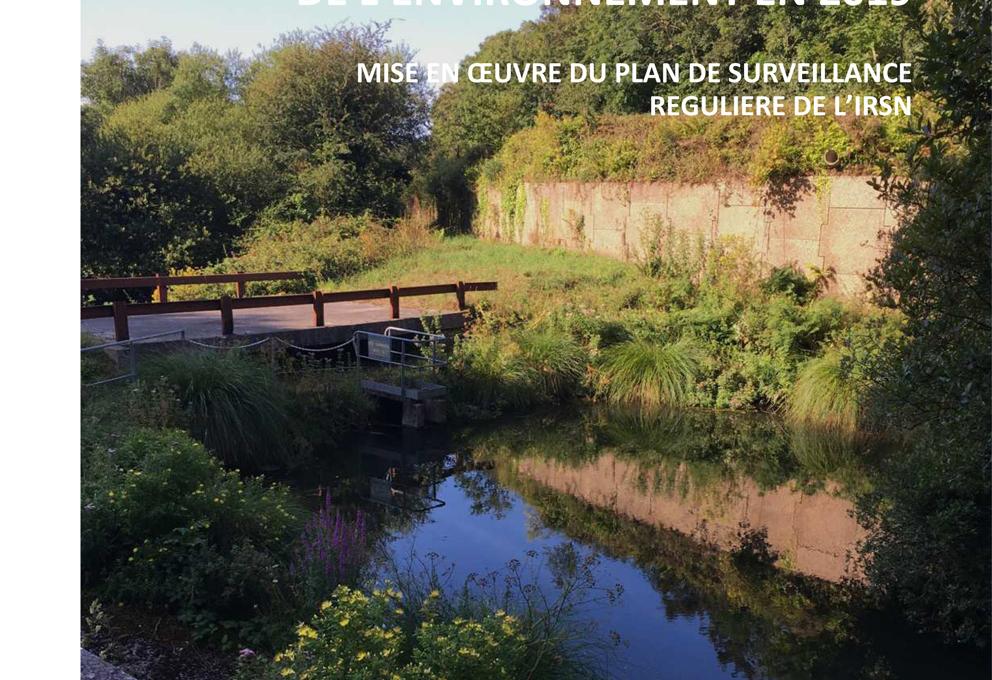 SURVEILLANCE RADIOLOGIQUE DE L’ENVIRONNEMENT EN 2019