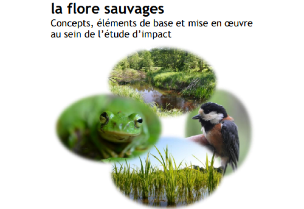 Guide-faune-flore_couv.png