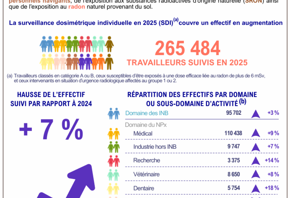 Extrait de l'infographie du rapport travailleurs bilan 2025