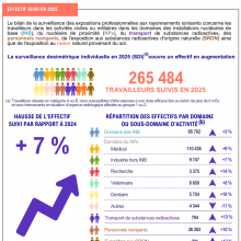 Extrait de l'infographie du rapport travailleurs bilan 2025