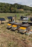 Mise en place des ruches connectées dans la préfecture de Fukushima